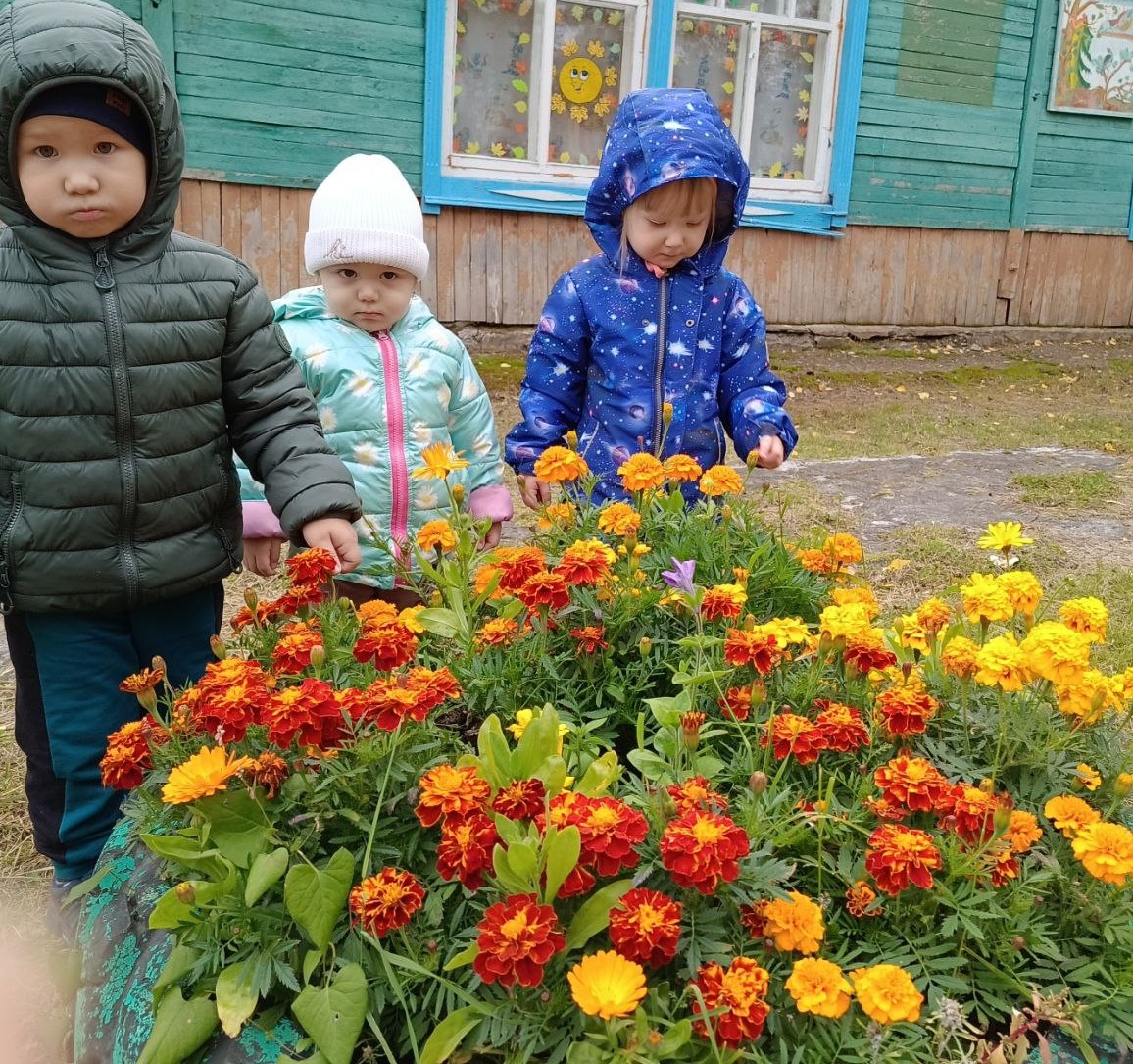 В детском саду «Капелька» прошла Неделя экологии.