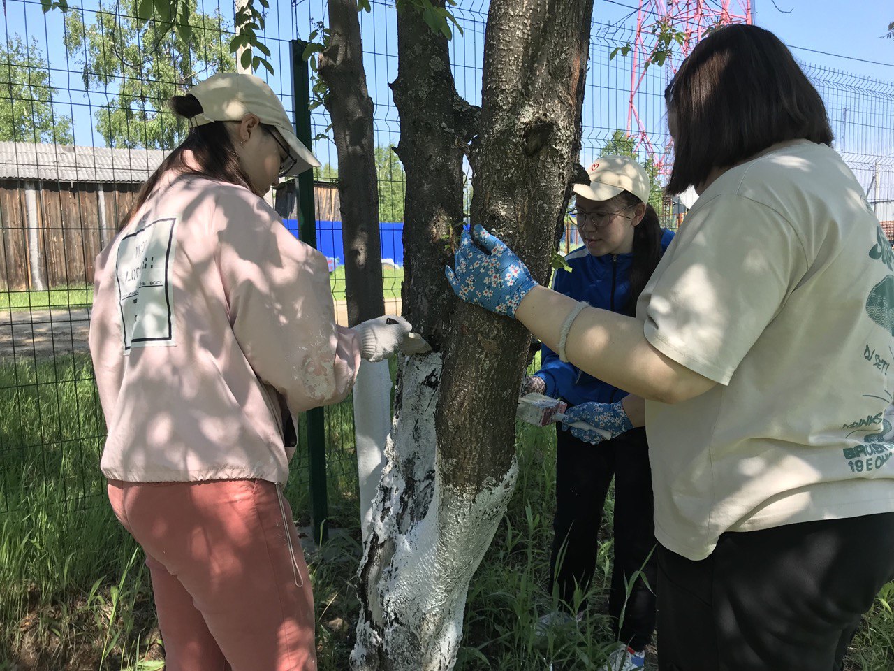 Трудовые будни МТО. Заботимся о природе..