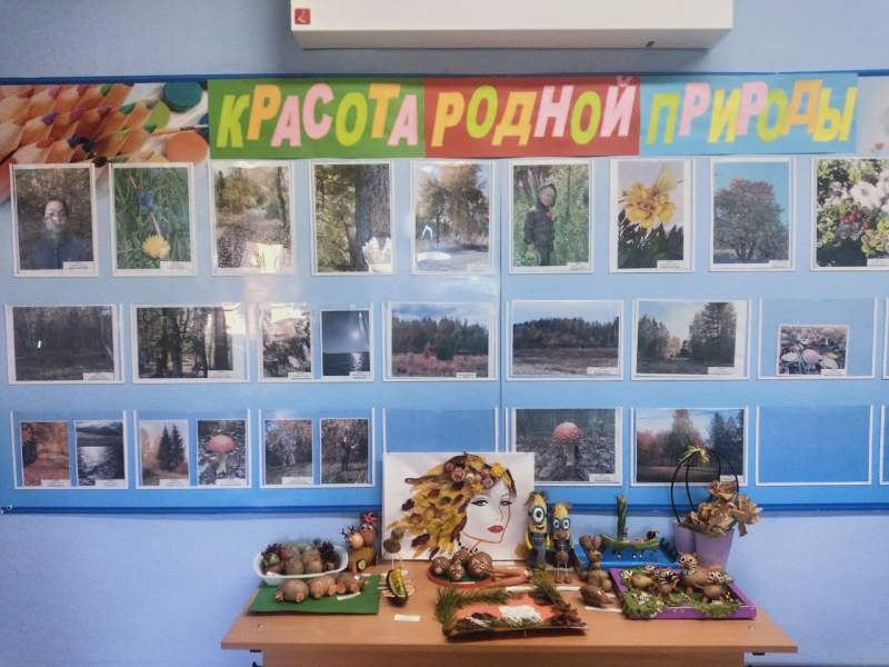 Отчёт о предметной Неделе экологии в начальной школе  «Удивительный мир природы».